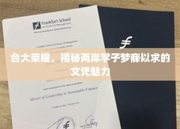 台大荣耀，探寻两岸学子梦寐以求的文凭魅力