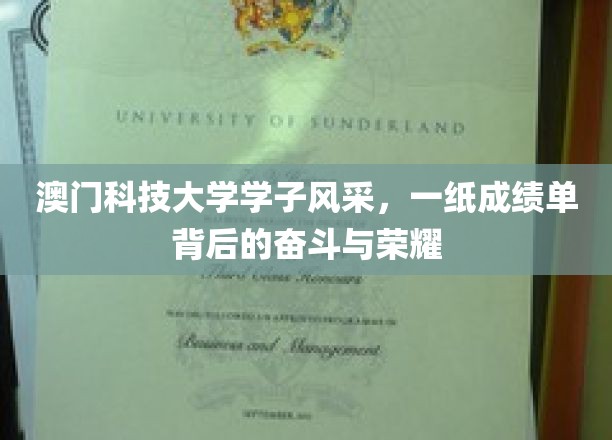 澳门科技大学学子风采，一纸成绩单背后的奋斗与荣耀
