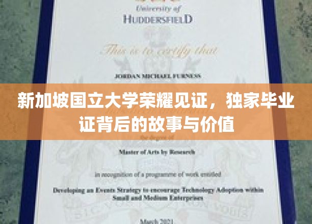 新加坡国立大学荣耀见证，独家毕业证背后的故事与价值