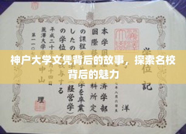 神户大学文凭背后的故事，探寻名校背后的魅力