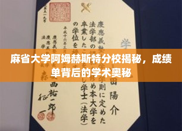 麻省大学阿姆赫斯特分校揭秘，成绩单背后的学术奥秘