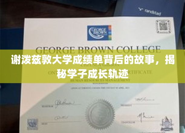 谢泼兹敦大学成绩单背后的故事，揭秘学子成长轨迹