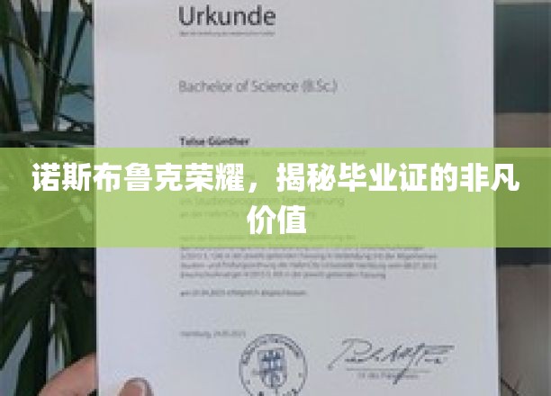 诺斯布鲁克荣耀，揭秘毕业证的非凡价值