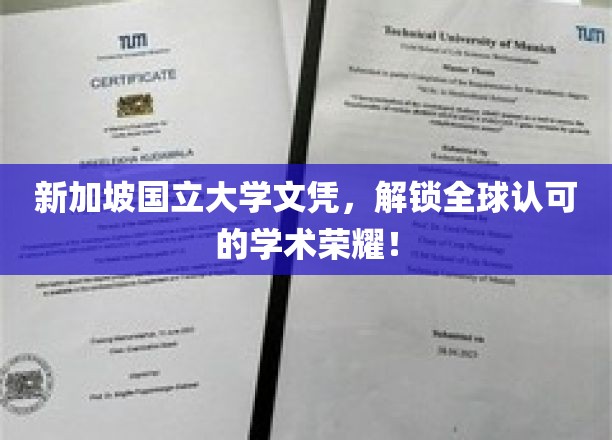 新加坡国立大学文凭，解锁全球认可的学术荣耀！