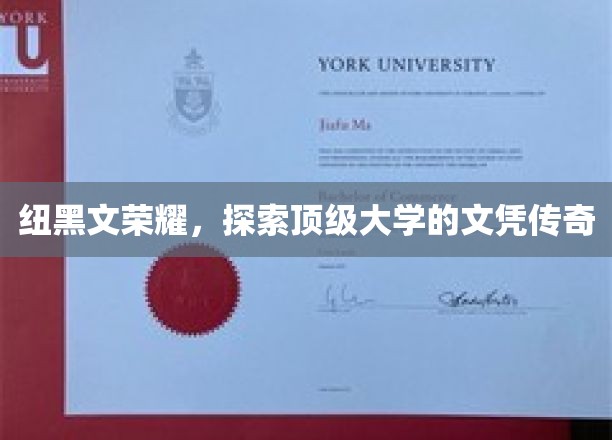 纽黑文荣耀，探索顶级大学的文凭传奇