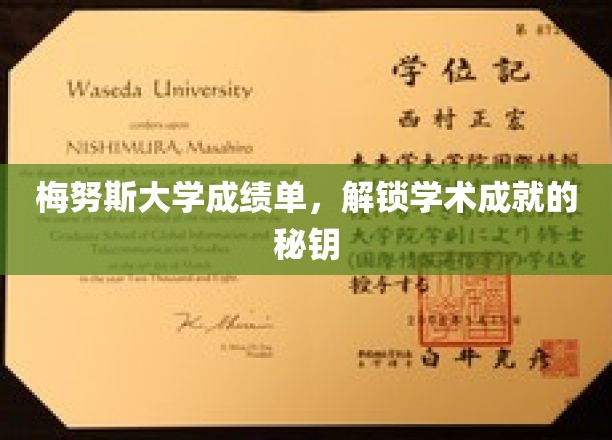 梅努斯大学成绩单，解锁学术成就的钥匙