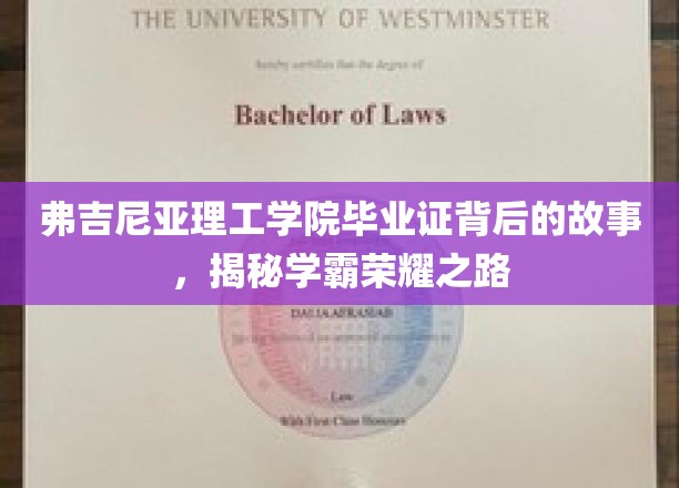 弗吉尼亚理工学院毕业证背后的故事，揭秘学霸荣耀之路