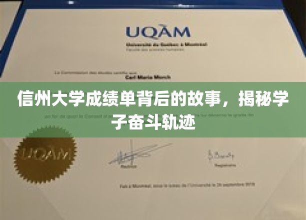 信州大学成绩单背后的故事，揭秘学子奋斗轨迹