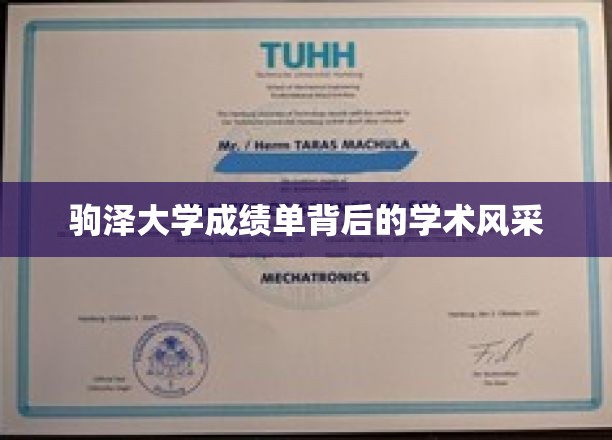 驹泽大学成绩单背后的学术风采