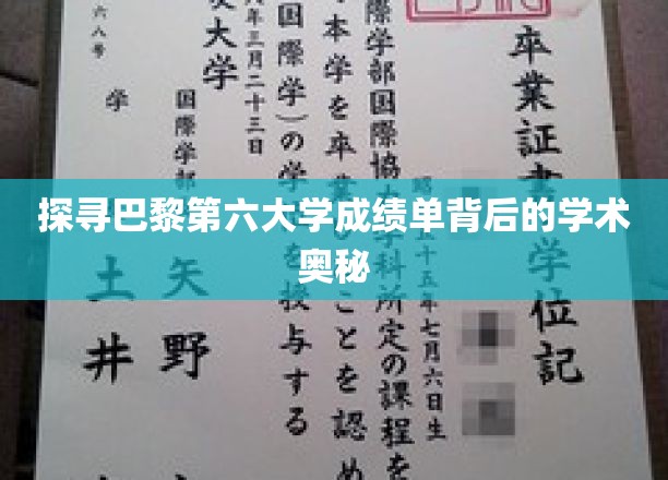 探寻巴黎第六大学成绩单背后的学术奥秘