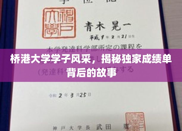 桥港大学风采展示，揭秘成绩单背后的独特故事
