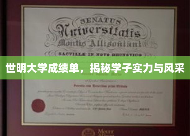 世明大学成绩单，展现学子实力与风采