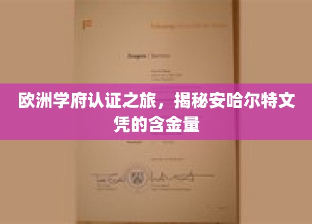 欧洲学府认证之旅，揭秘安哈尔特文凭的含金量