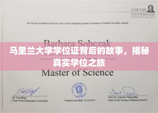 马里兰大学学位证背后的故事，揭秘真实学位之旅