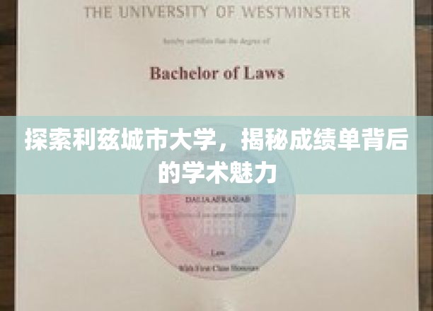 探索利兹城市大学，一窥成绩单背后的学术魅力