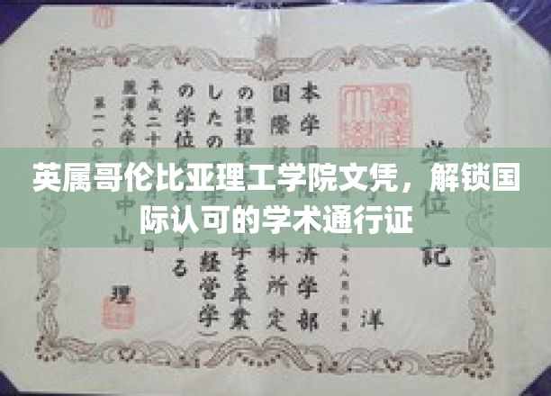英属哥伦比亚理工学院文凭，开启国际认可的学术旅程