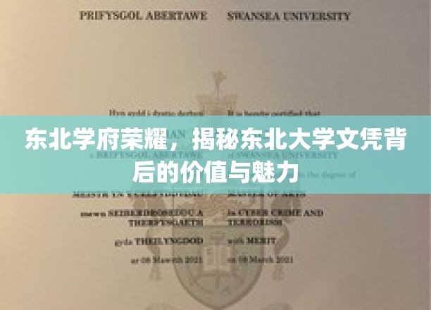 东北学府荣耀，揭秘东北大学文凭背后的价值与魅力