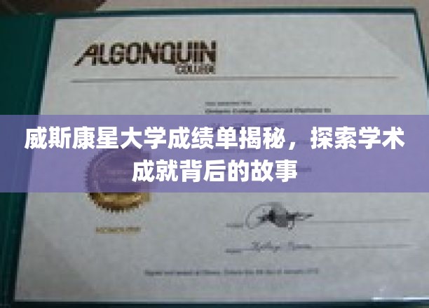 威斯康星大学成绩单解析，探寻学术成就背后的故事