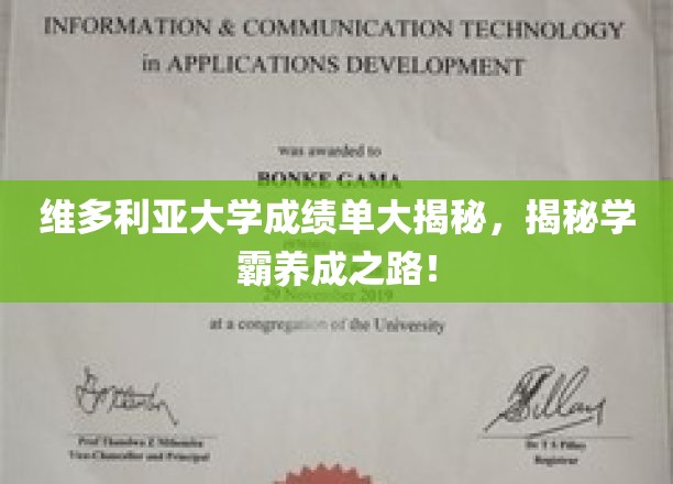 维多利亚大学成绩单深度解析，揭秘学霸养成之路！