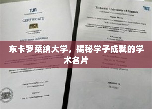 东卡罗莱纳大学，揭秘学子成就的学术名片