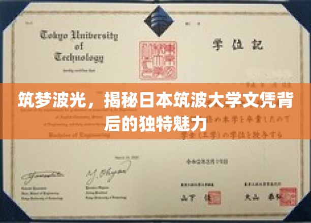 筑梦波光，揭秘日本筑波大学文凭的独特魅力