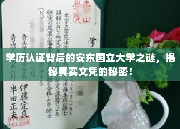 揭秘安东国立大学文凭背后的真相，探寻真实学历背后的故事！