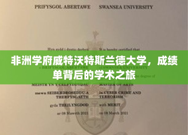 非洲学府威特沃特斯兰德大学，探寻成绩单背后的学术之旅
