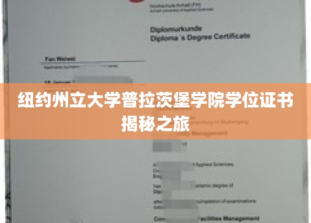 纽约州立大学普拉茨堡学院学位证书揭秘之旅