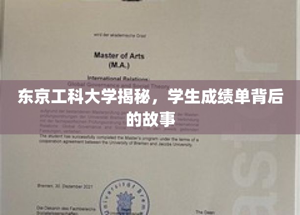 东京工科大学揭秘，学生成绩单背后的故事