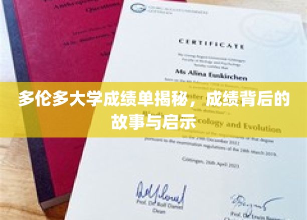 多伦多大学成绩单揭秘：探寻成绩背后的故事与启示
