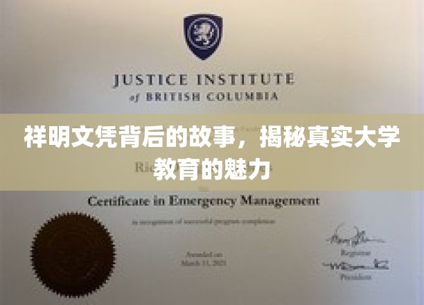 祥明文凭背后的故事，揭秘真实大学教育的魅力