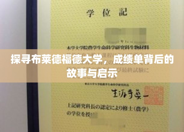探寻布莱德福德大学，成绩单背后的故事与启示