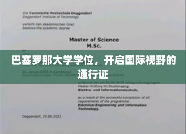 巴塞罗那大学学位，开启国际视野的通行证