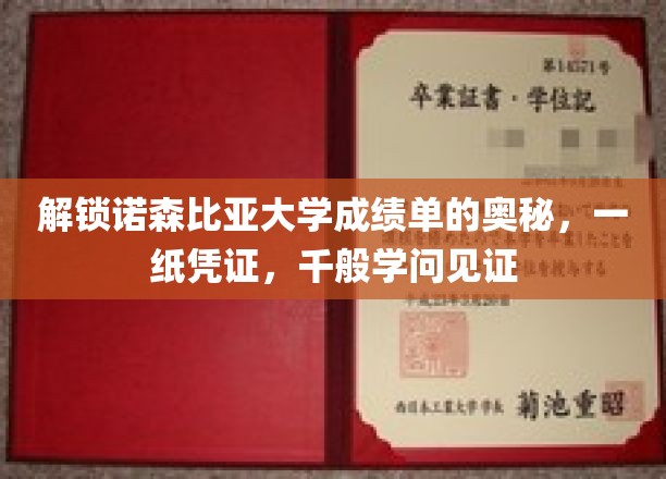 解锁诺森比亚大学成绩单的奥秘,一纸凭证,千般学问见证