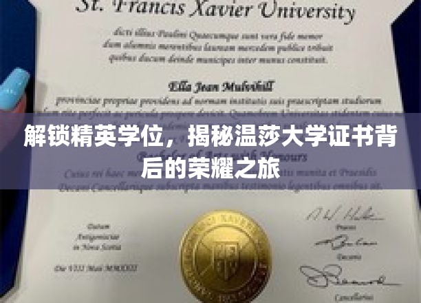 解锁精英学位，揭秘温莎大学证书背后的荣耀之旅