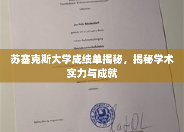 苏塞克斯大学成绩单揭秘，揭示学术实力与成就