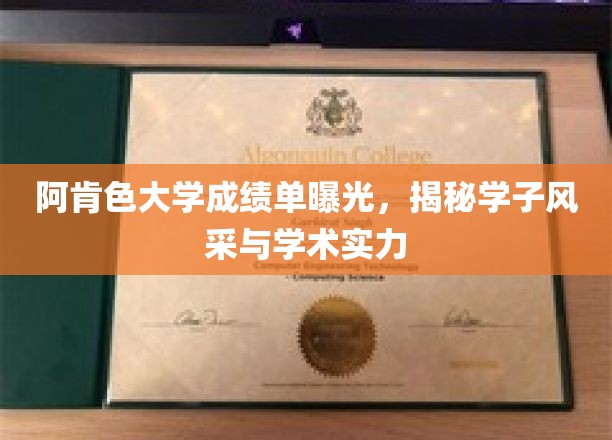 阿肯色大学成绩单曝光，揭秘学子风采与学术实力