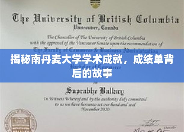 一探究竟：南丹麦大学的学术成就，揭示成绩单背后的故事