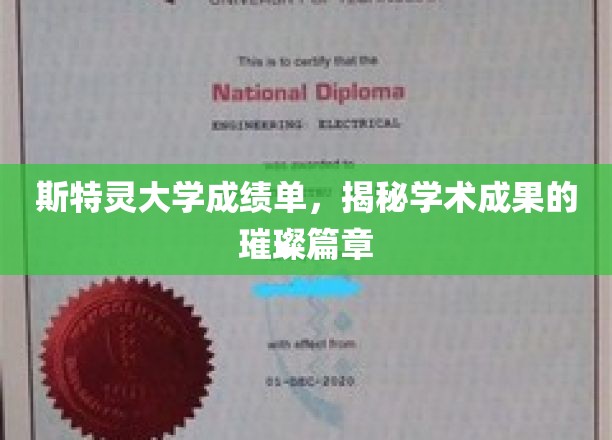 斯特灵大学成绩单，揭秘学术成果的璀璨篇章