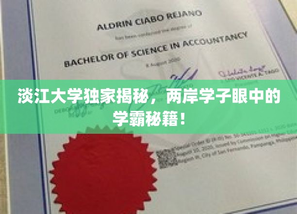 淡江大学独家揭秘：两岸学子心中的学霸秘籍！