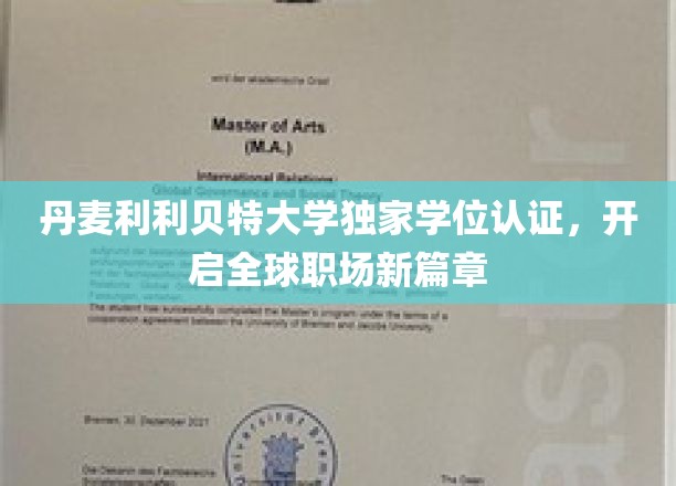 丹麦利利贝特大学独家学位认证，引领全球职场新篇章