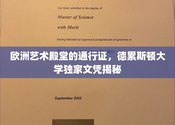 欧洲艺术殿堂的通行证，德累斯顿大学独家文凭揭秘
