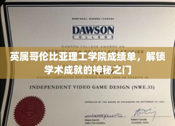 英属哥伦比亚理工学院成绩单，开启学术成就的神秘之门