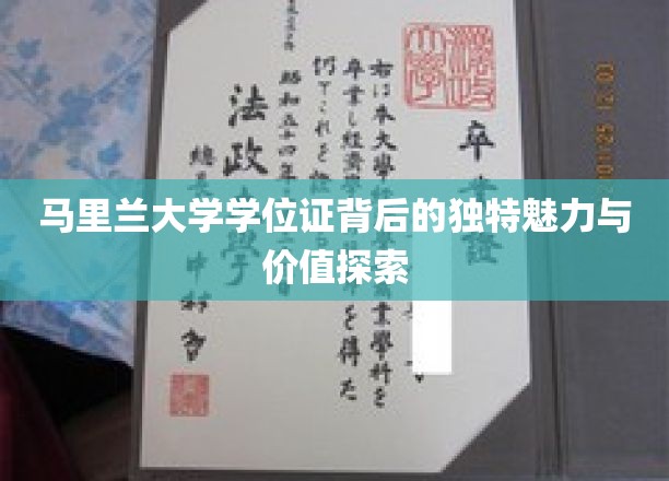 马里兰大学学位证：探寻其独特魅力与价值所在