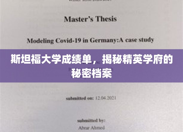 斯坦福大学成绩单，揭秘精英学府的秘密档案