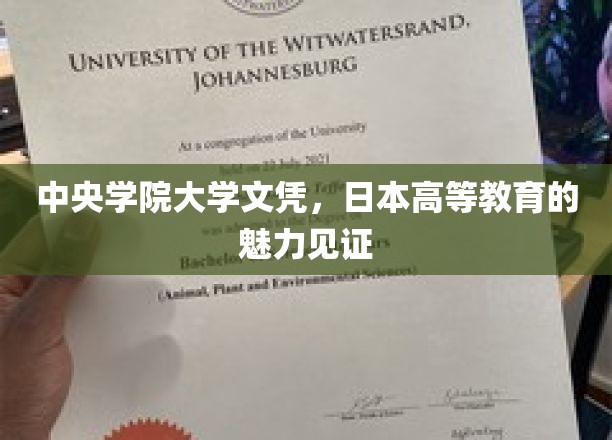 中央学院大学文凭，日本高等教育的魅力见证