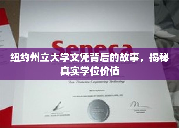 纽约州立大学文凭背后的故事，揭秘真实学位价值