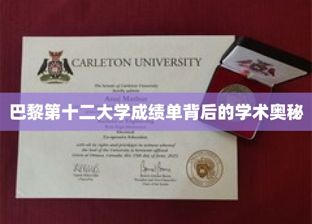 巴黎第十二大学成绩单背后的学术奥秘