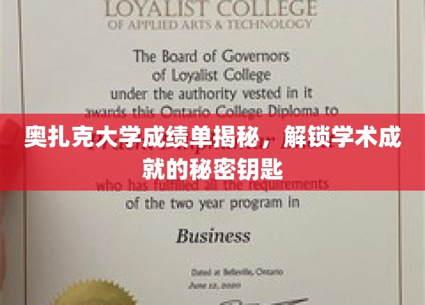 奥扎克大学成绩单揭秘，解锁学术成就的秘密钥匙
