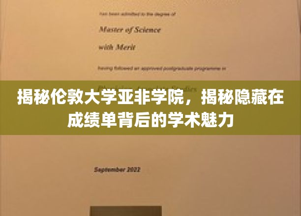 伦敦大学亚非学院：揭开成绩单背后的学术魅力